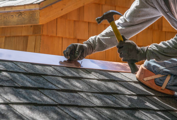 Best Skylight Installation and Repair  in Point Mackenzie, AK