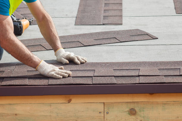 Best Gutter Installation and Repair  in Point Mackenzie, AK